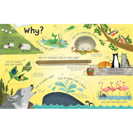Questions and Answers About Animals