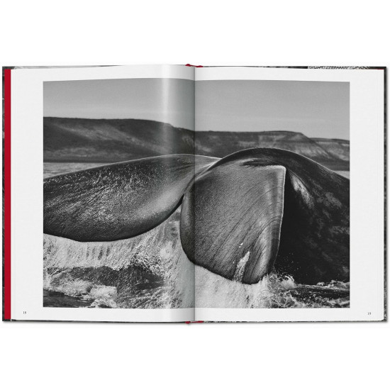 Sebastião Salgado. Genesis