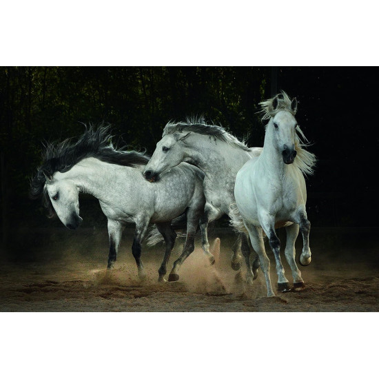 Horses