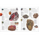 Rocks & Minerals: The Definitive Visual Guide