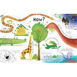 Questions and Answers About Animals