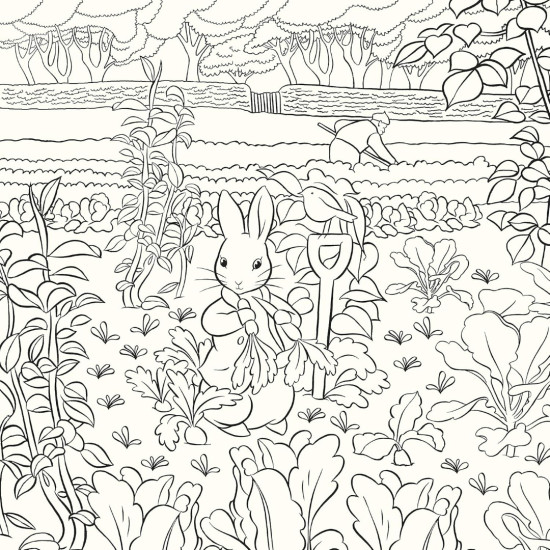 The Beatrix Potter Colouring Book The Beatrix Potter Colouring Book