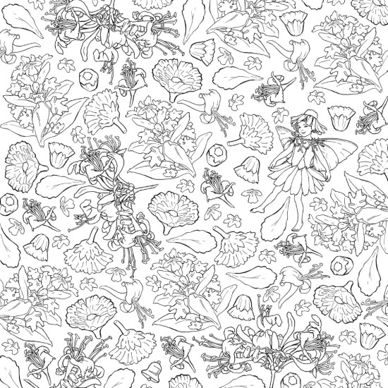 The Flower Fairies Colouring Book The Flower Fairies Colouring Book