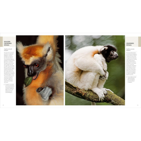 Animals on the Edge | Крис Уестън