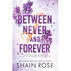 Between Never and Forever - book 3