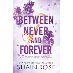 Between Never and Forever - book 3