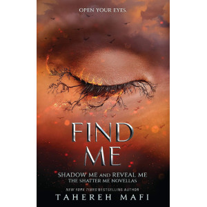 Find Me - book 4.5, 5.5