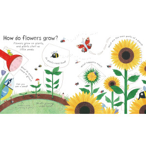 How Do Flowers Grow?