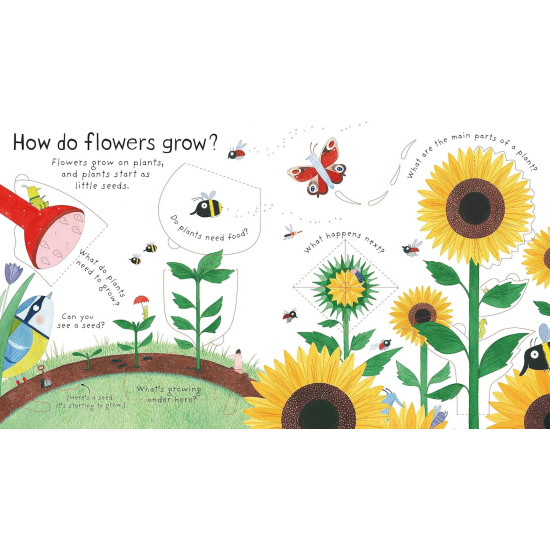 How Do Flowers Grow? | Кейти Дейнс