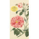 John Derian Paper Goods: Everything Roses Notepad | Тефтери, бележници и планери