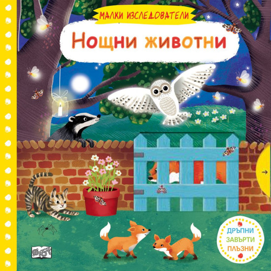 Малки изследователи: Нощни животни | Фют