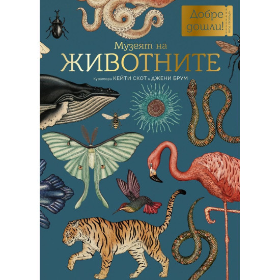Музеят на животните | Кейти Скот, Джени Брум
