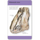 Our World in Pictures Rocks & Minerals Flash Cards | DK