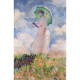 Пъзел Sassi с книжка Monet and the Impressionists 300 части | SASSI
