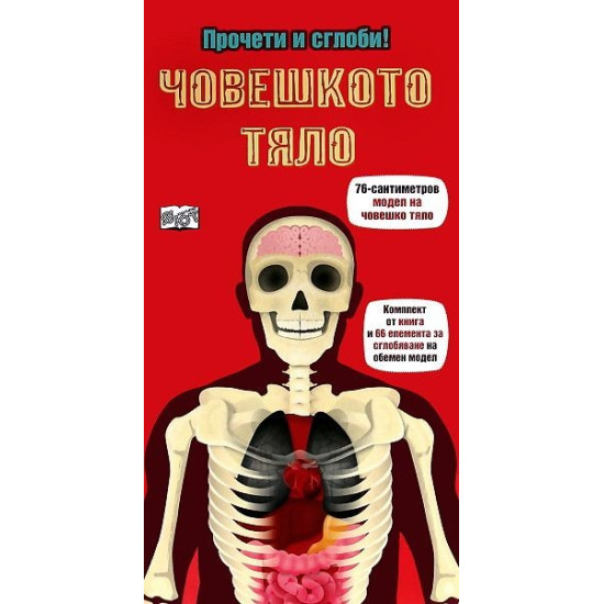 Прочети и сглоби!: Човешкото тяло | Фют