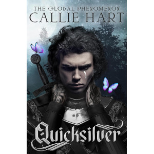 Quicksilver - book 1
