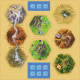 Разширение за настолна игра Catan - Търговци и Варвари | Intelligames