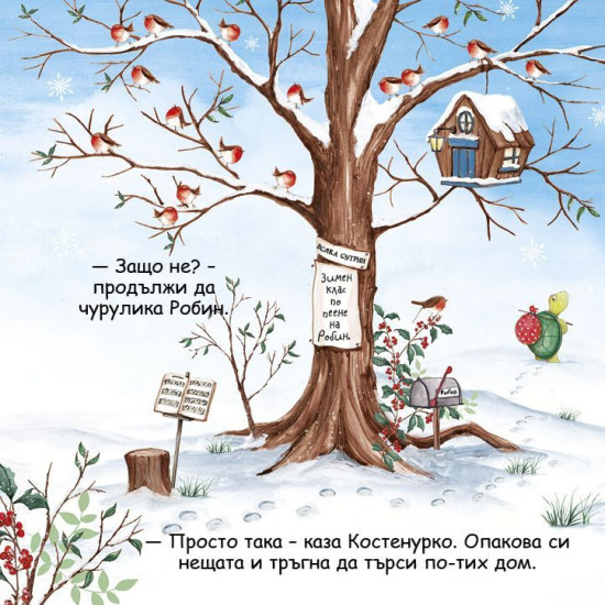 Шумна зимна дрямка | Кейти Хъдсън