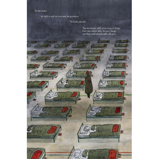 The Handmaids Tale - graphic novel | Маргарет Атууд