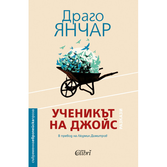 Ученикът на Джойс | Драго Янчар