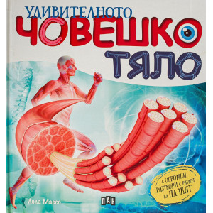 Удивителното човешко тяло