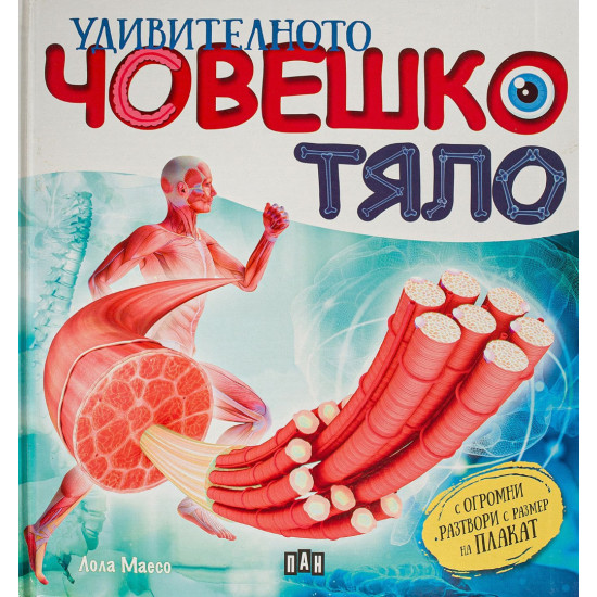 Удивителното човешко тяло | Лола Маесо