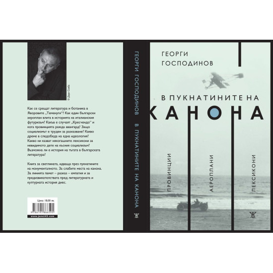 В пукнатините на канона | Георги Господинов