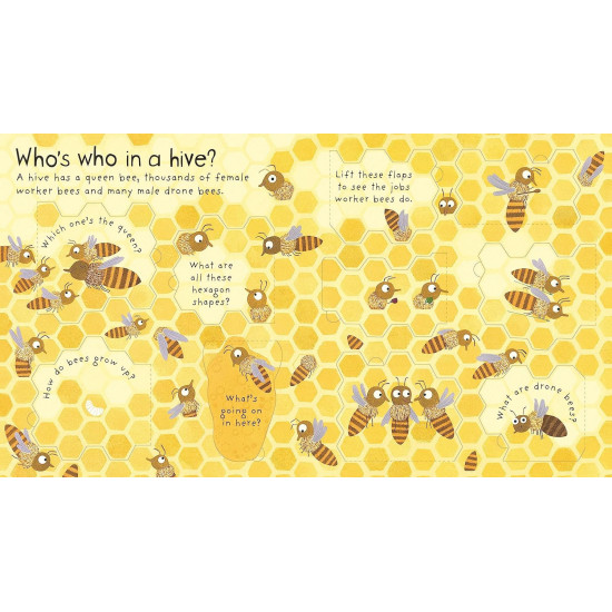 Why Do We Need Bees? | Кейти Дейнс