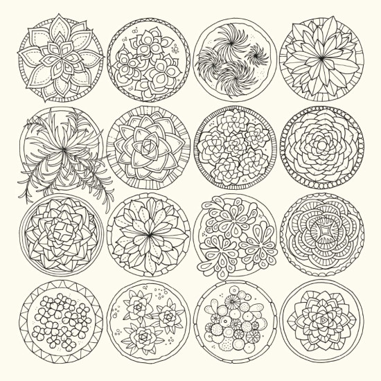 World of Flowers: A Colouring Book and Floral Adventure | Джохана Басфорд