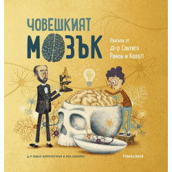 Човешкият мозък Човешкият мозък