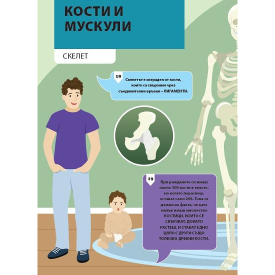 Да поговорим за: Човешкото тяло Да поговорим за: Човешкото тяло