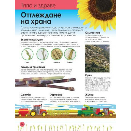 Детска енциклопедия: Искам всичко да знам