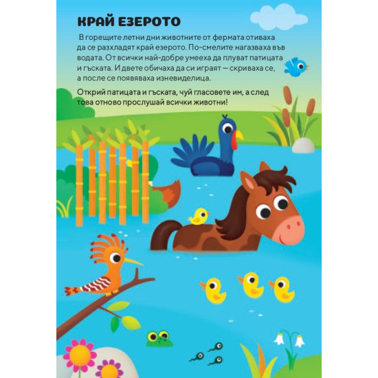 Фермата