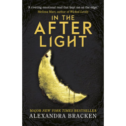 In the Afterlight - book 3