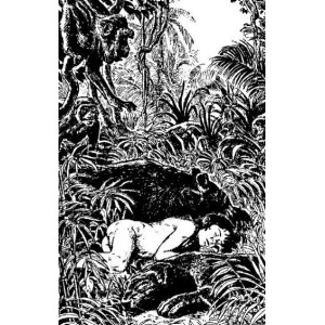 Книга за джунглата - твърди корици