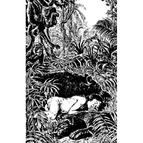 Книга за джунглата - твърди корици Книга за джунглата - твърди корици