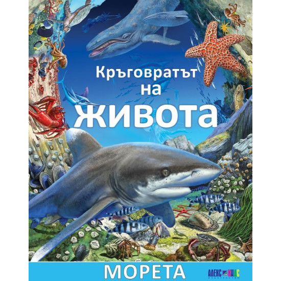Кръговратът на живота: Морета