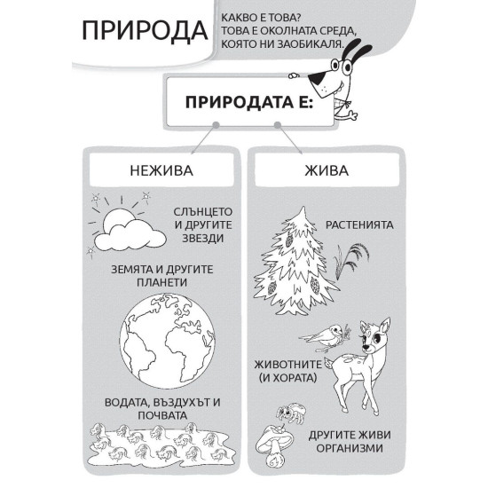Куче Дългуче: Природата 5+ Куче Дългуче: Природата 5+