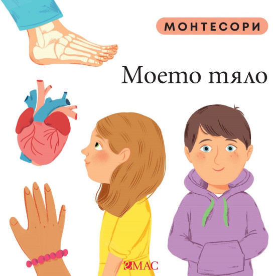 Монтесори: Моето тяло Монтесори: Моето тяло