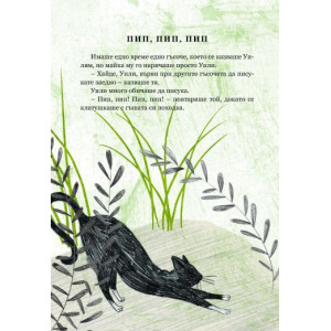 Небивалици