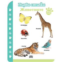 Първи стъпки: Животните (18-24 месеца) Първи стъпки: Животните (18-24 месеца)