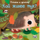 Плъзни и дръпни! Кой живее тук? | Фют