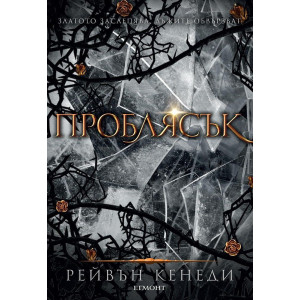 Проблясък - книга 2