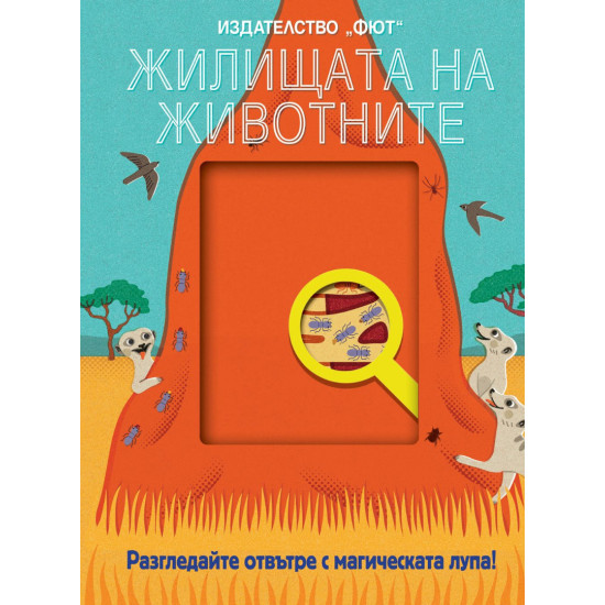 Разгледайте отвътре с магическата лупа! Жилищата на животните