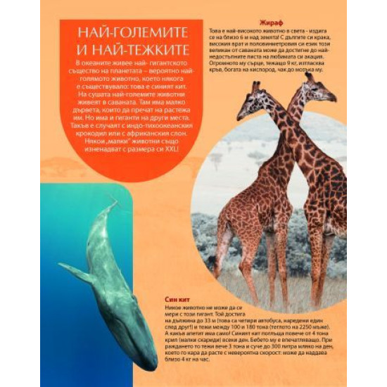 Рекорди на животните
