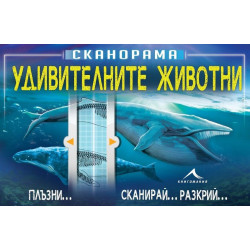 Сканорама: Удивителните животни