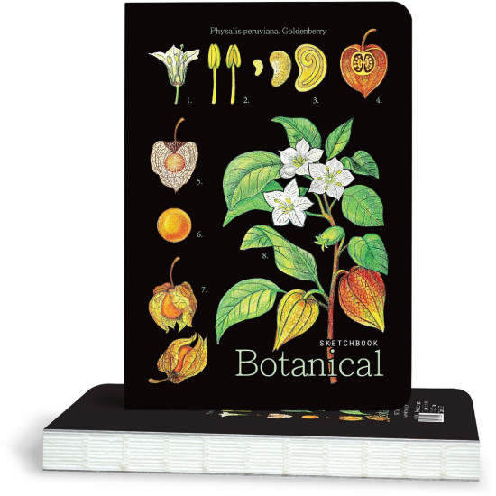 Скицник Drasca Botanical - Goldenberry, 100 g, 80 листа Скицник Drasca Botanical - Goldenberry, 100 g, 80 листа