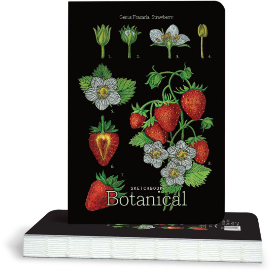 Скицник Drasca Botanical - Strawberry, 100 g, 80 листа Скицник Drasca Botanical - Strawberry, 100 g, 80 листа