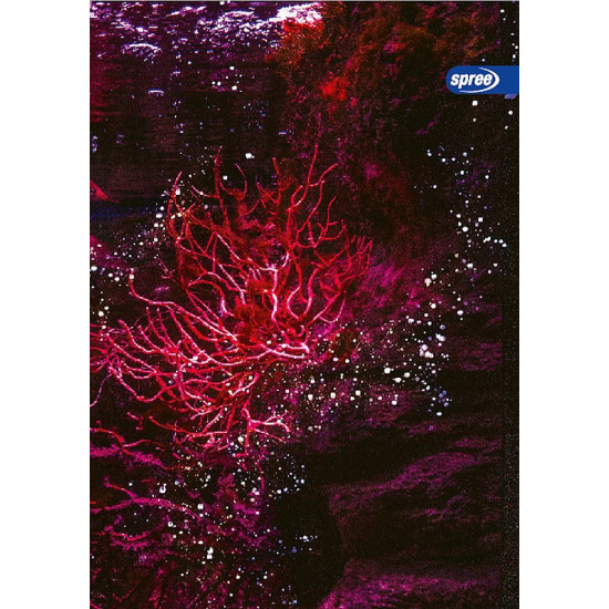 Тетрадка Spree Neon Ocean - А4, 42 листа, широки редове, асортимент