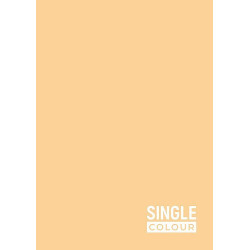 Тетрадка Spree Single Color - А4, 42 листа, широки редове, асортимент